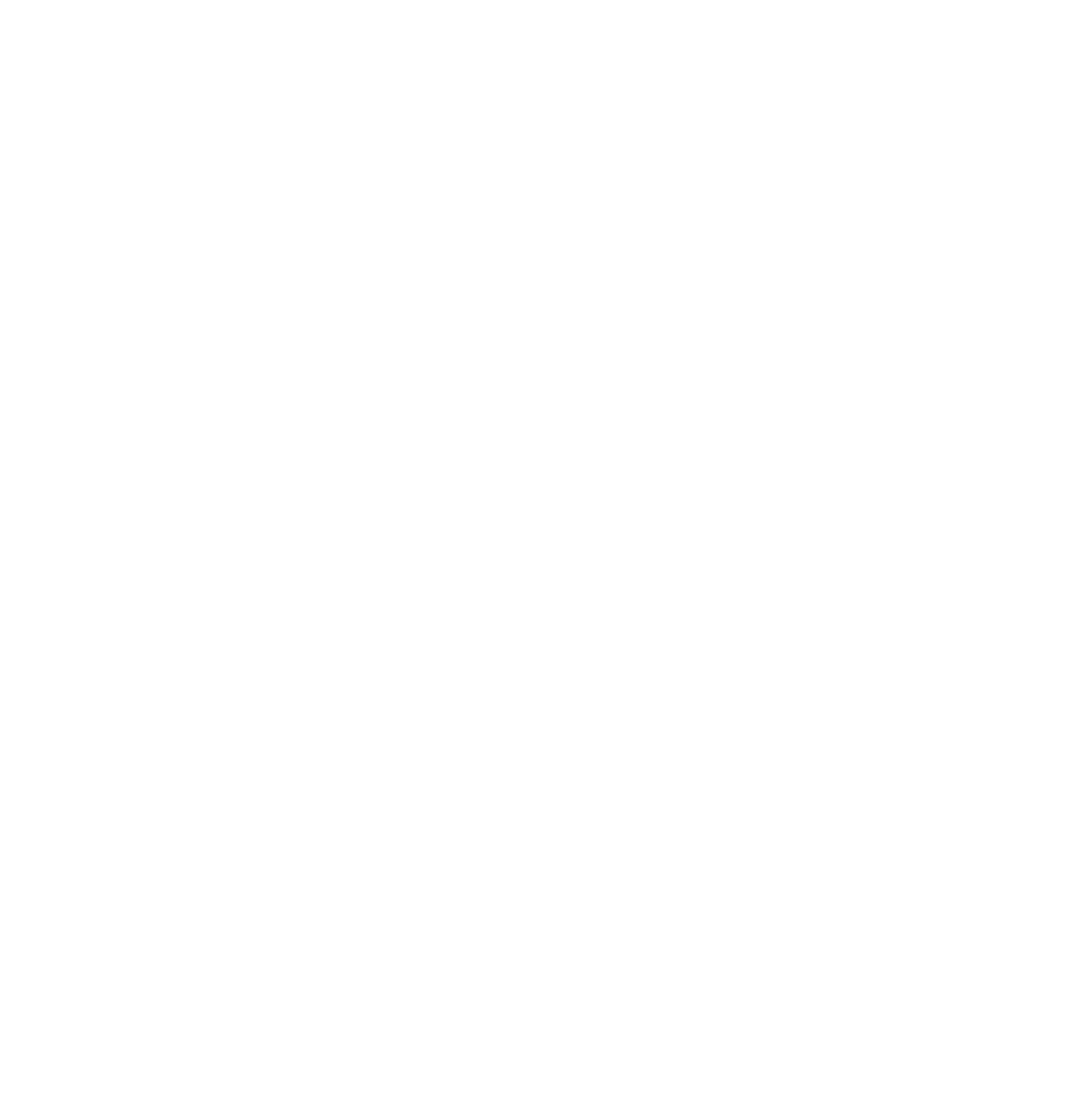 SKY VISION icon