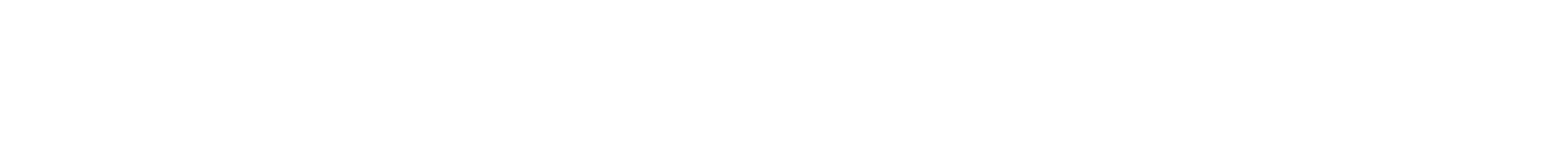 SKY VISION