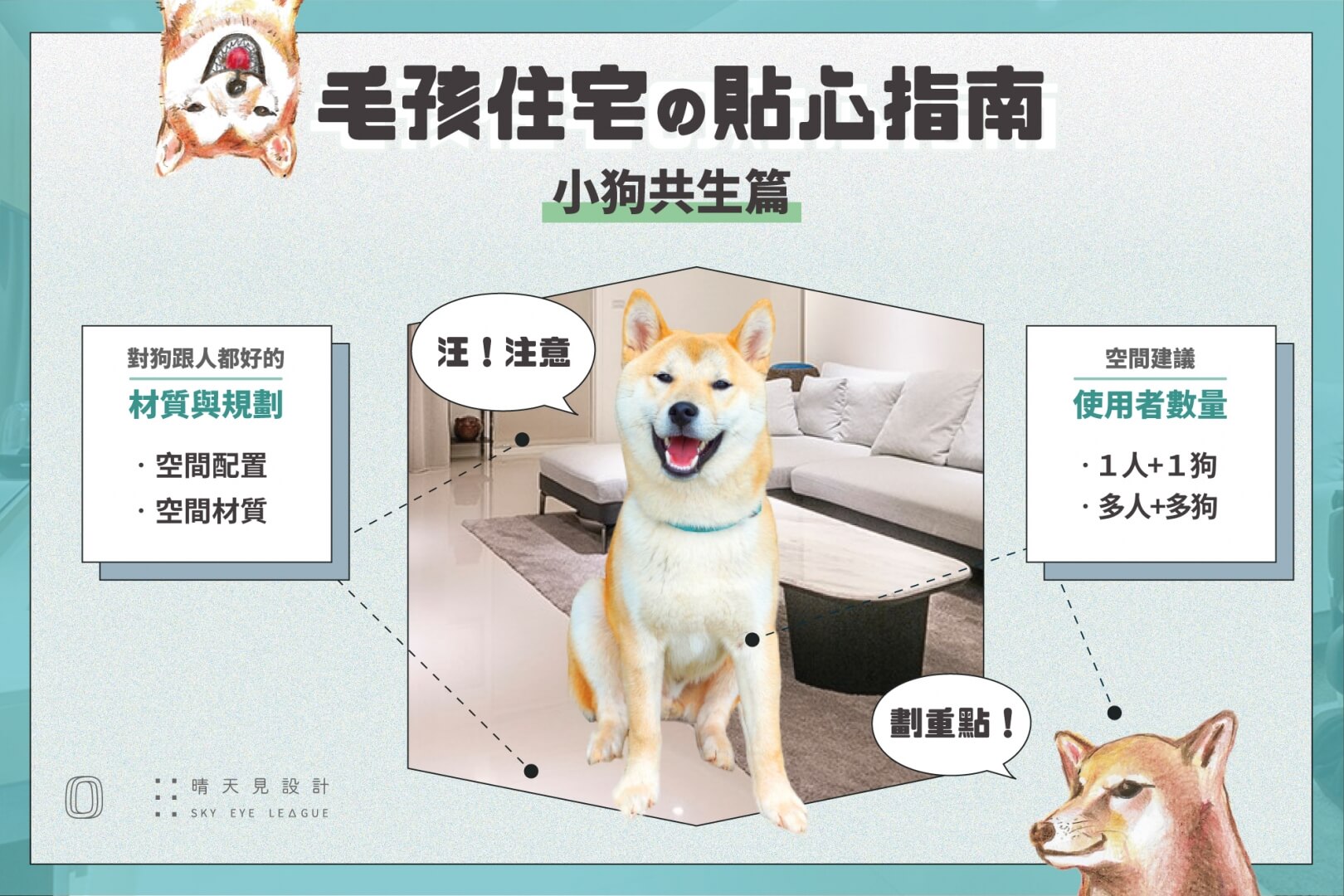 毛孩住宅的貼心指南